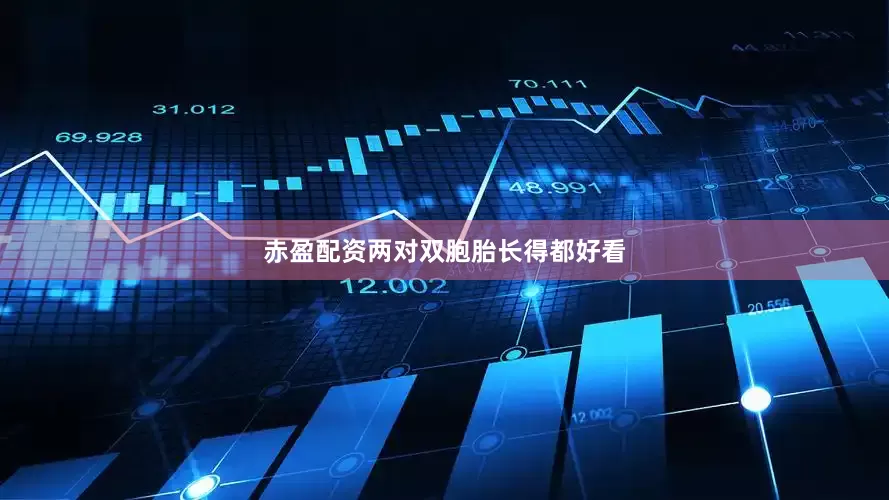 赤盈配资两对双胞胎长得都好看