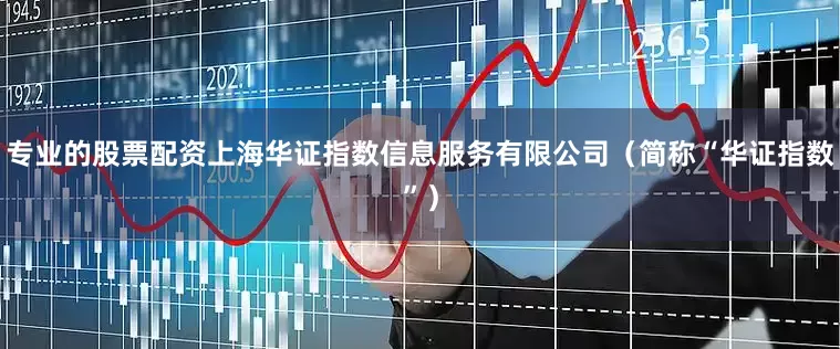 专业的股票配资上海华证指数信息服务有限公司（简称“华证指数”）