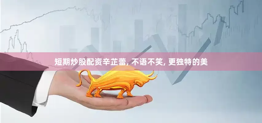 短期炒股配资辛芷蕾, 不语不笑, 更独特的美