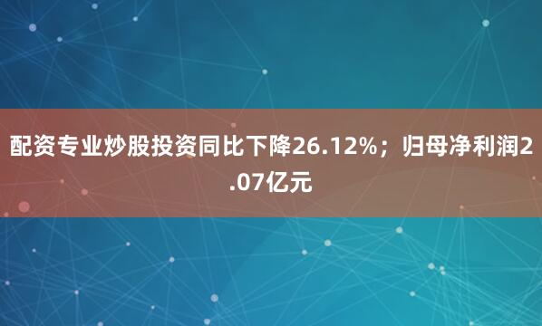 配资专业炒股投资同比下降26.12%；归母净利润2.07亿元