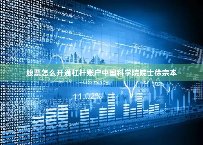 股票怎么开通杠杆账户中国科学院院士徐宗本