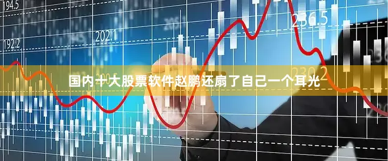 国内十大股票软件赵鹏还扇了自己一个耳光