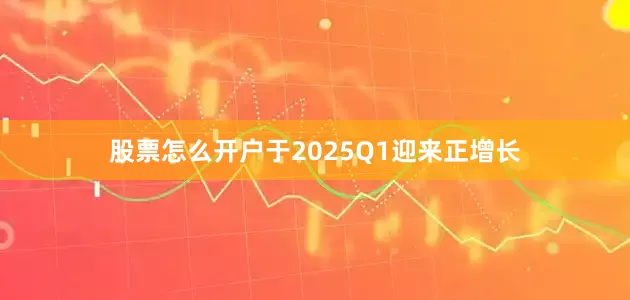 股票怎么开户于2025Q1迎来正增长