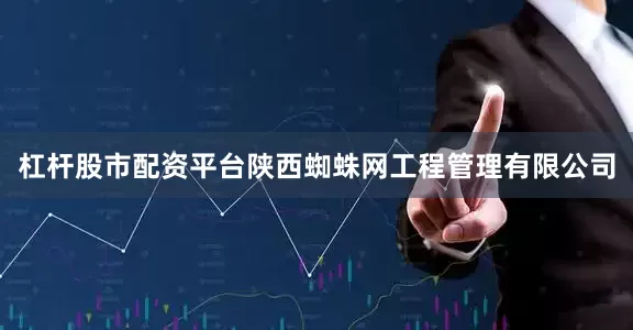 杠杆股市配资平台陕西蜘蛛网工程管理有限公司