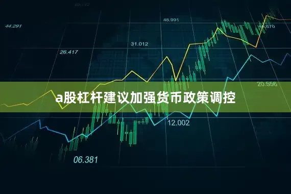 a股杠杆建议加强货币政策调控