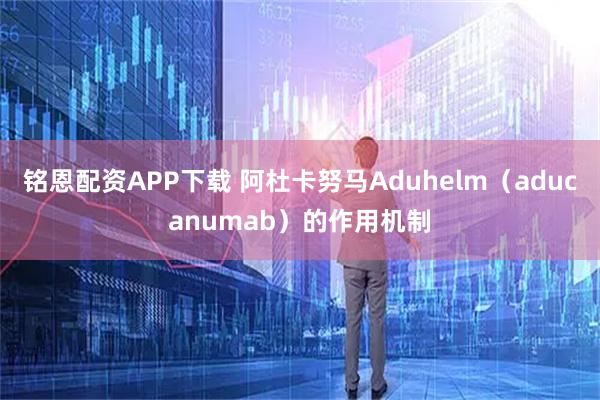 铭恩配资APP下载 阿杜卡努马Aduhelm（aducanumab）的作用机制