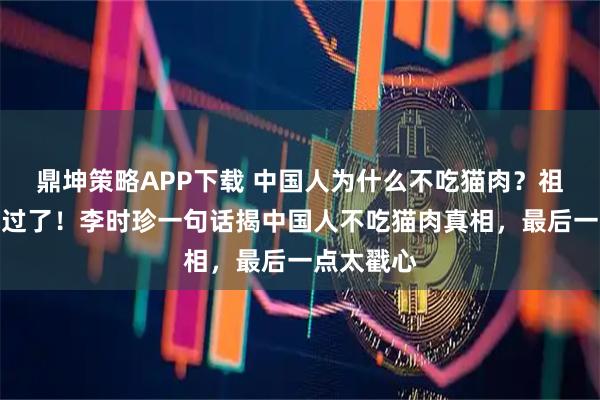 鼎坤策略APP下载 中国人为什么不吃猫肉？祖宗早就试过了！李时珍一句话揭中国人不吃猫肉真相，最后一点太戳心