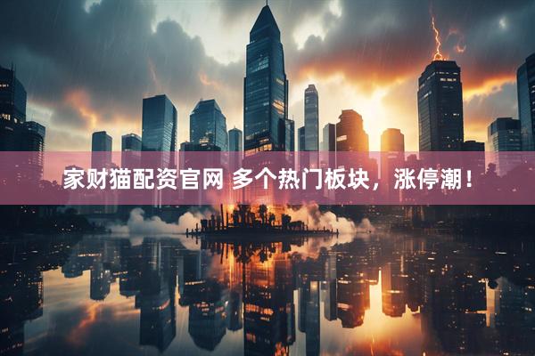 家财猫配资官网 多个热门板块，涨停潮！